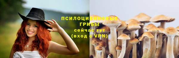сатива Заволжск