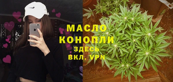 сатива Заволжск
