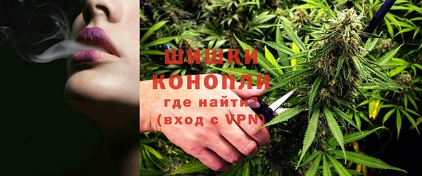 сатива Заволжск