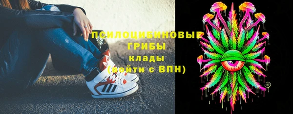 mdma Заводоуковск