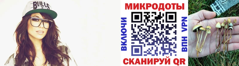 Галлюциногенные грибы Cubensis  Купить  Наволоки 